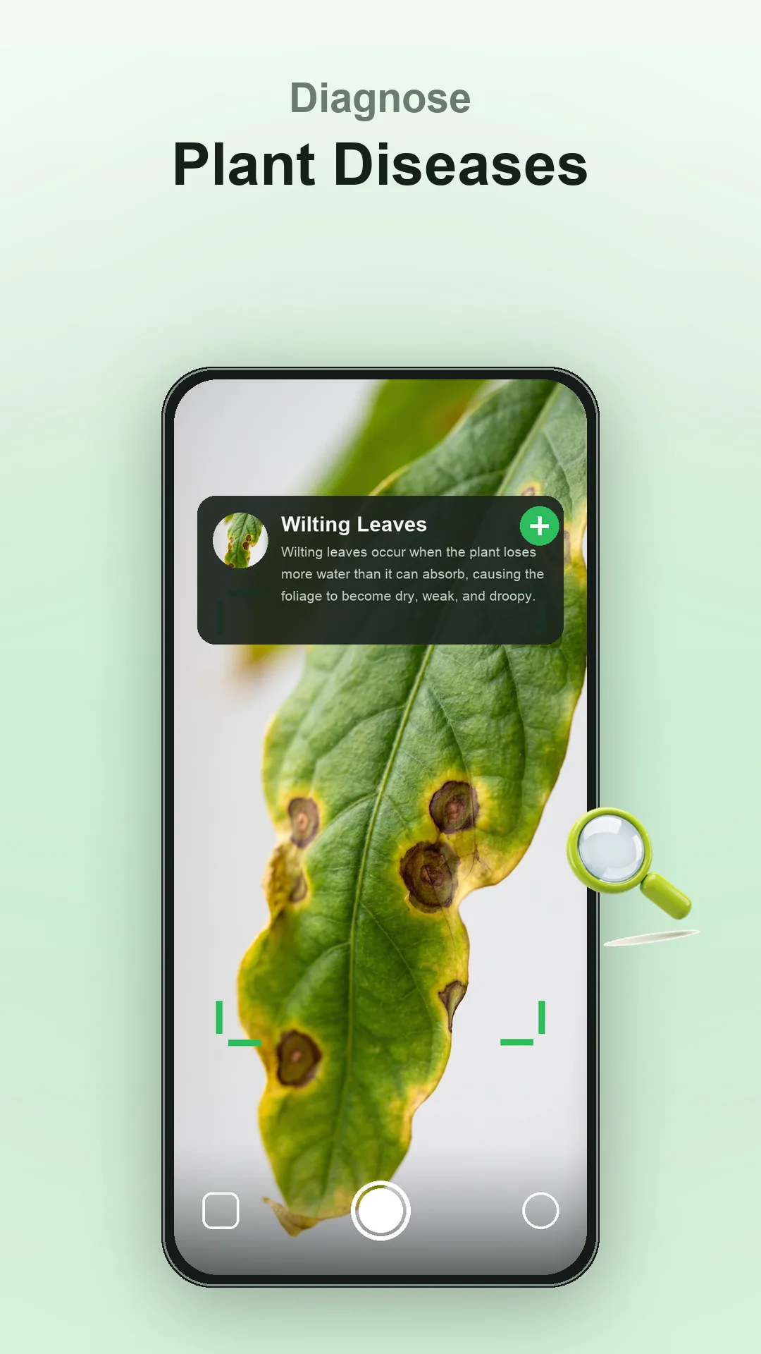Plantia screen